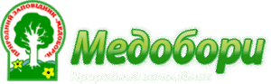 site logo